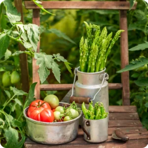 Légumes de saison (tomates, haricots et asperges) disposés dans des contenants sur une chaise rustique