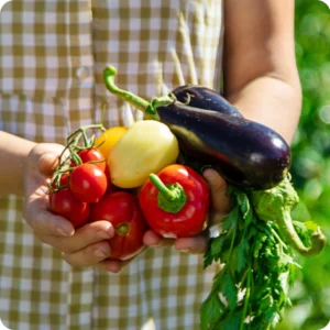 Mains présentant des légumes d’été fraîchement récoltés : tomates, poivrons, aubergines