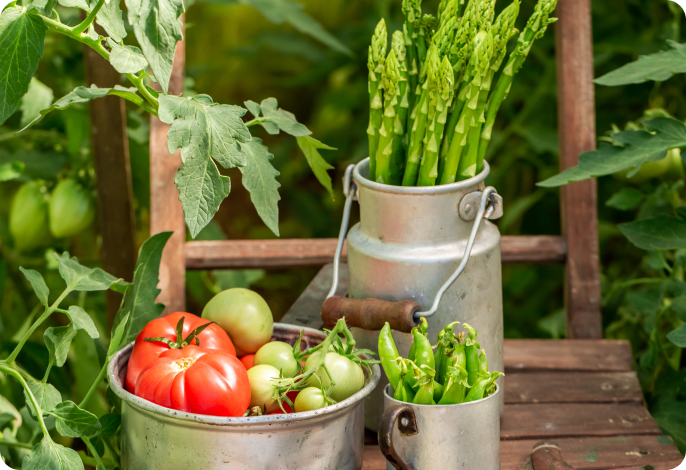 Légumes de saison (tomates, haricots et asperges) disposés dans des contenants sur une chaise rustique